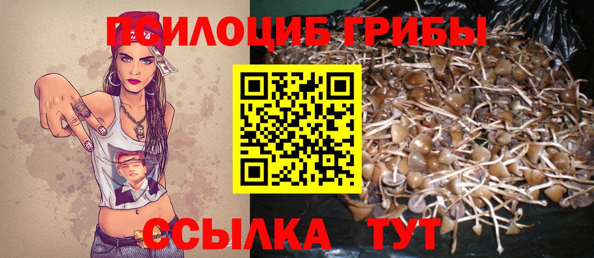 Глазов  Псилоцибиновые грибы прущие грибы  Вход с VPN 